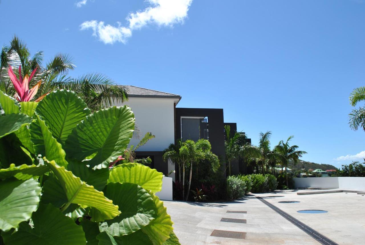 גוסטביה Reve De Saint Barth - Vue Mer - Piscine Chauffee & Jacuzzi מראה חיצוני תמונה